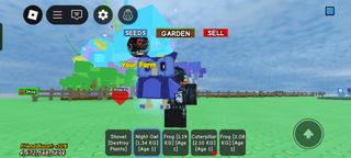 (Category: ) located in . Submitted by wadxstore71 (Listing ID 1369994753, Image 1). Description: .