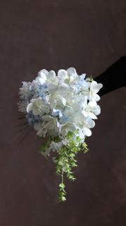 （分類：）位於 。 由 blueblueblue23 提交（商品編號 1366874647，圖片 1）。簡介： 。