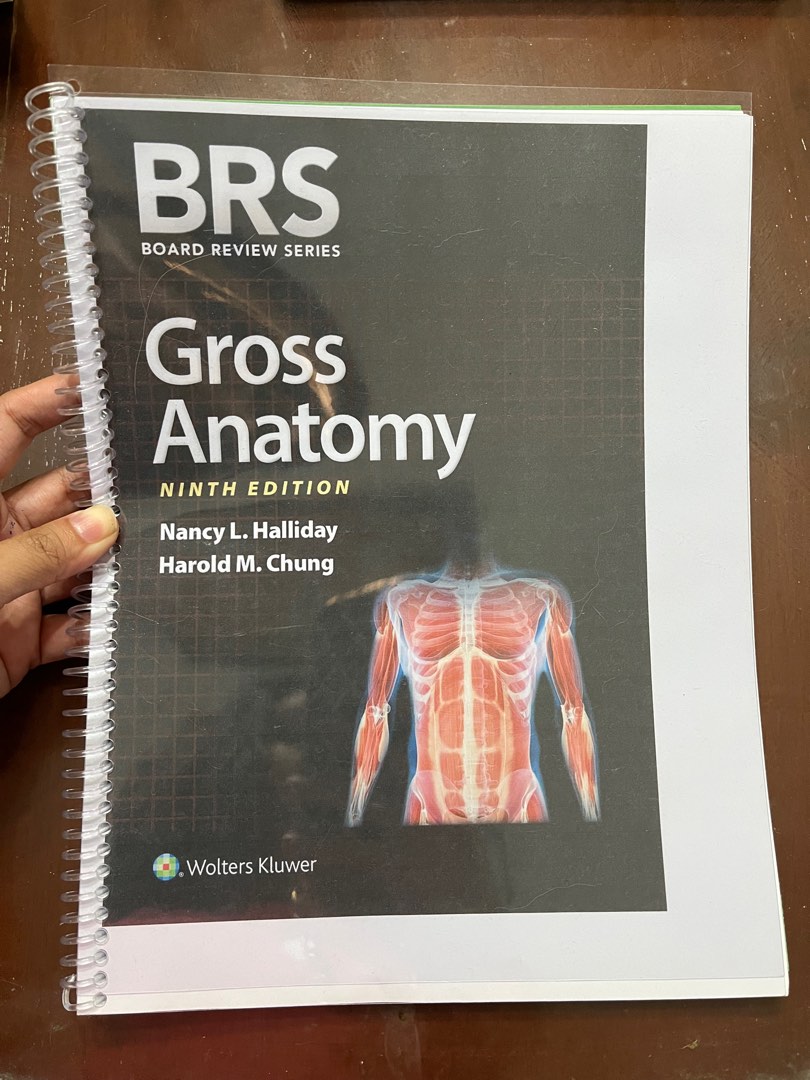 BRS Gross Anatomy 9th edition, Hobbies & Toys, Books & Magazines ...