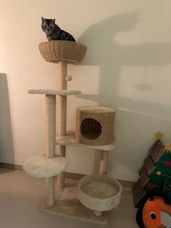 （分類：）位於 。 由 choeunkim356051 提交（商品編號 1366881323，圖片 1）。簡介： 。