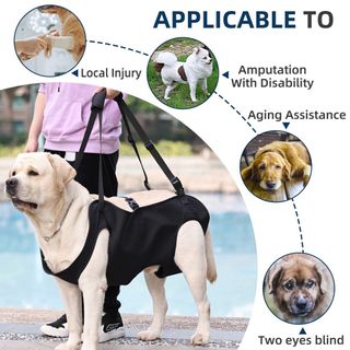 (Category: ) located in . Submitted by wh-carousel (Listing ID 1366821237, Image 1). Description: .