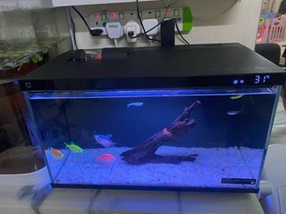 (Category: ) located in . Submitted by jofi25 (Listing ID 1366804589, Image 1). Description: .