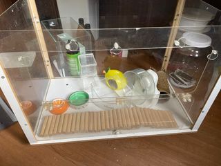 (Category: ) located in . Submitted by pipsqueakmlg (Listing ID 1370154621, Image 1). Description: .