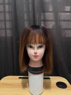 Human Hair Wig