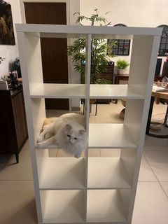 (Category: ) located in . Submitted by mannongi (Listing ID 1370134565, Image 1). Description: .