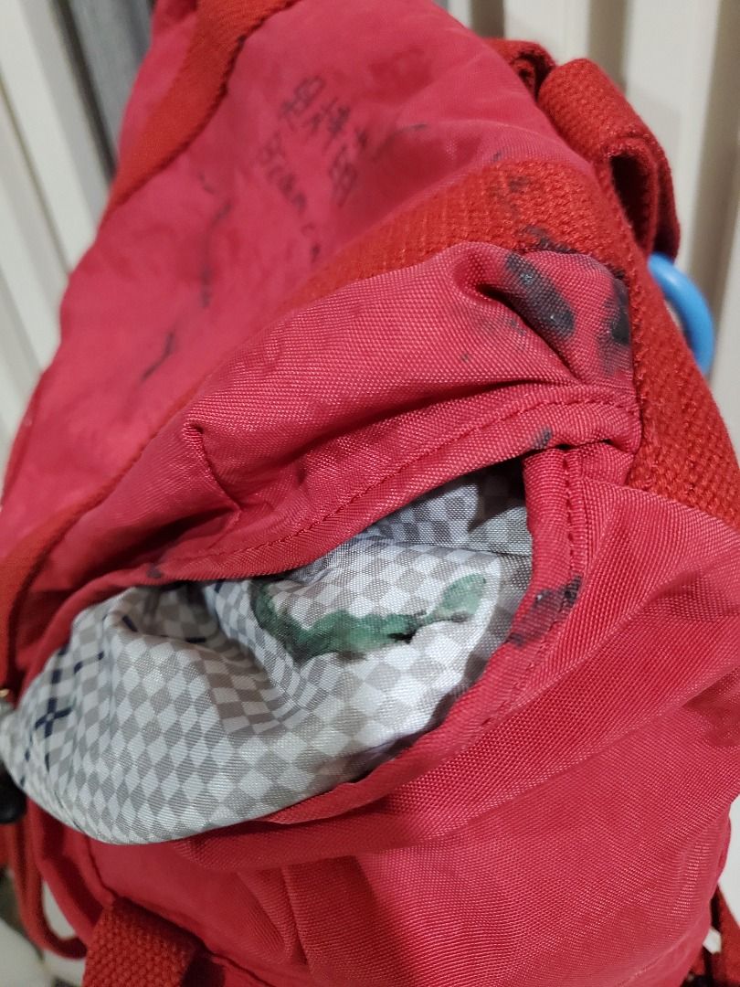 KIPLING EXPERIENCE S Small Backpack (Category: Backpacks) located in Manila. Submitted by mamaloverakkie (Listing ID 1370095056, Image 3). Description: ISSUE: PEN MARKS/PAINT All in all kulay ang ganda pa pen Marks/PAINT lang tlga ang problema. .