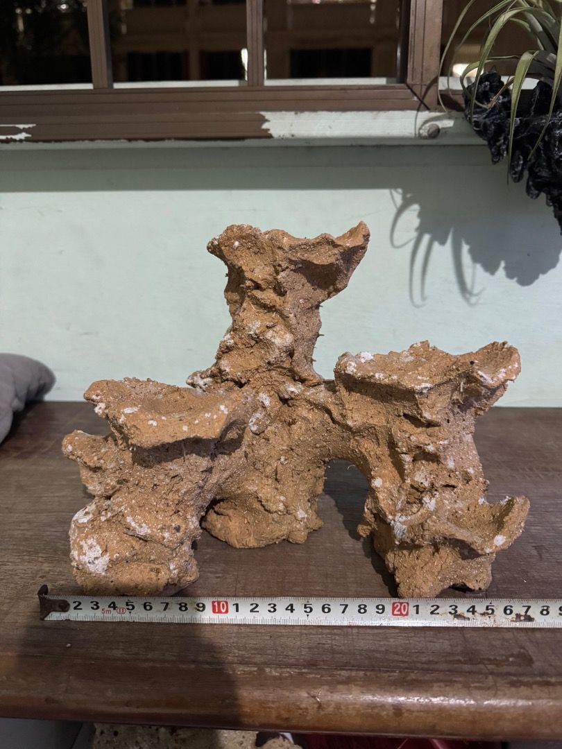 marine rock (Category: Homes & Other Pet Accessories) located in Singapore. Submitted by alvin1991lim (Listing ID 1370226766, Image 1). Description: good design marine rock pic 1 & 2-orange-$55（27x21cm） pic 3-white-$35（20x24cm） Pic 4-pink-$30/pc（tile is 40x30cm） Pic 5-pink-$40/pc（tile is 40x30cm）.