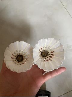 （分類：）位於 。 由 joeyyyleung 提交（商品編號 1370130833，圖片 1）。簡介： 。