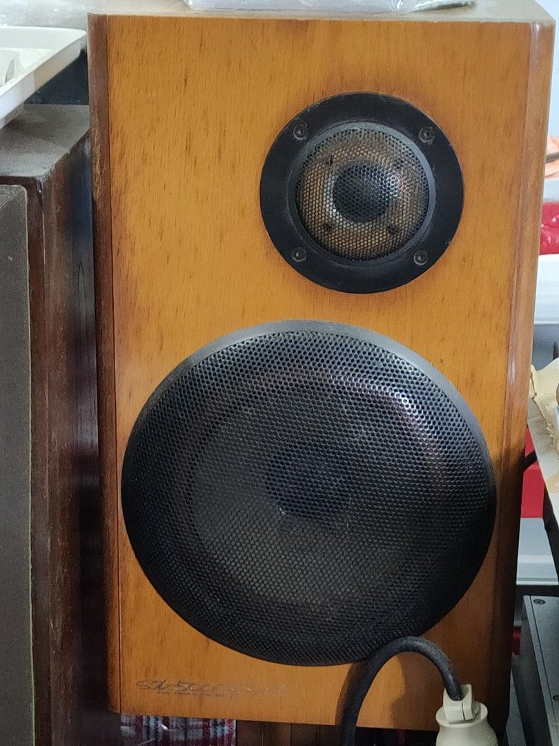 Victor SX-500 Spirit 喇叭一對, 音響器材, 其他音響配件及設備- Carousell