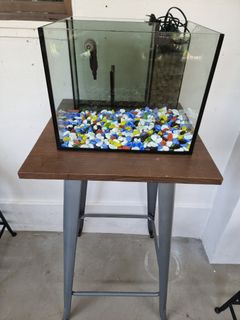 (Category: ) located in . Submitted by petstyle888 (Listing ID 1370299364, Image 1). Description: .