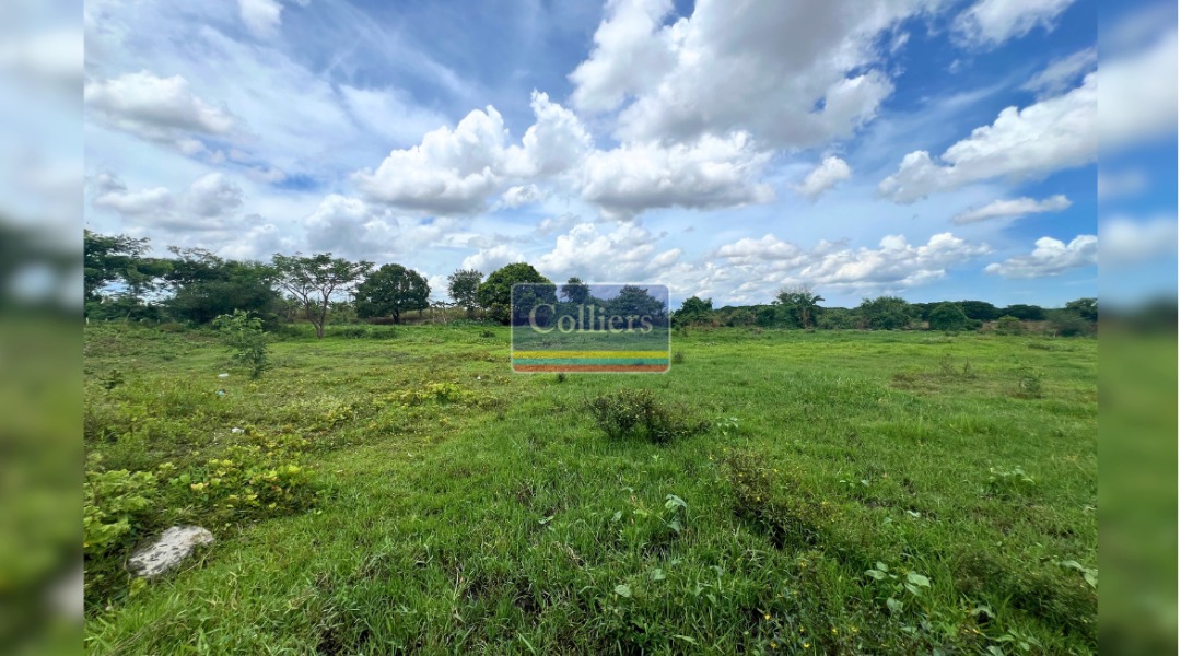 (Category: ) located in . Submitted by colliersph (Listing ID 1370283503, Image 1). Description: .