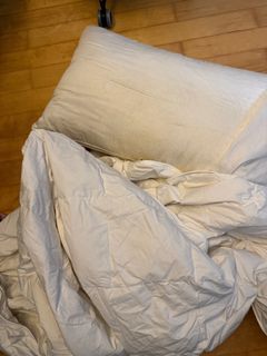 Robinsons pillow For Sale Furniture Home Living Carousell