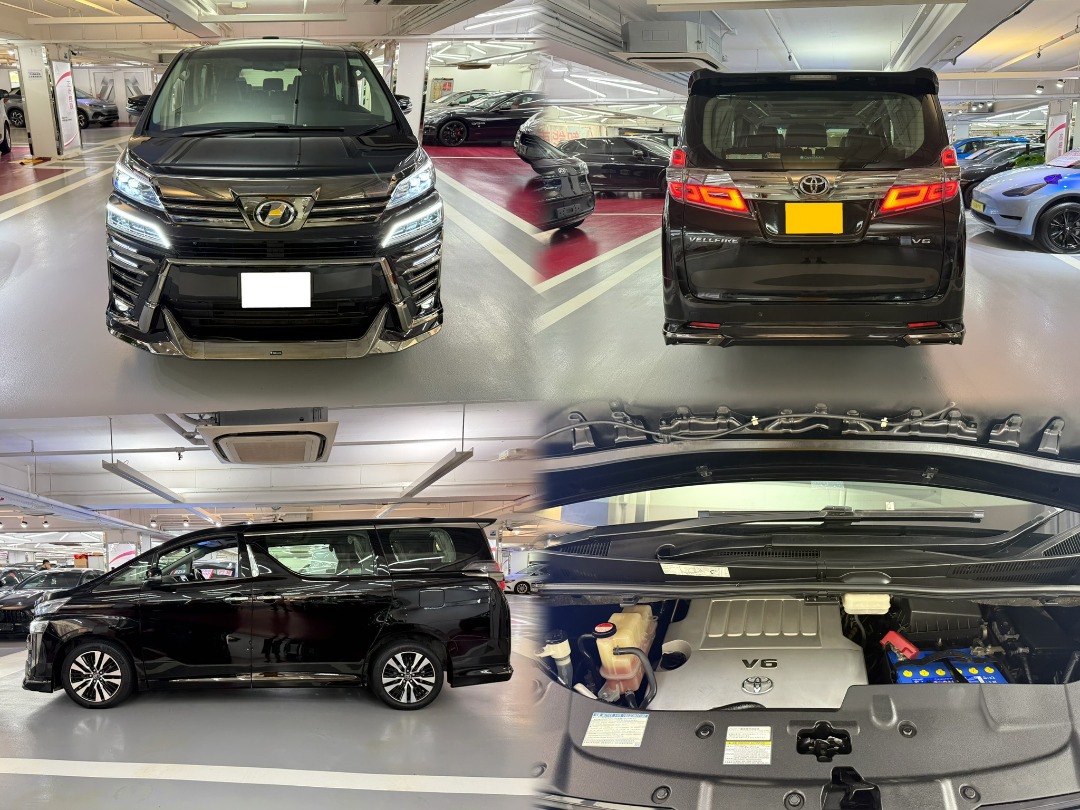 Toyota Vellfire 3.5 ZAG MODELLISTA Auto62863128670850112