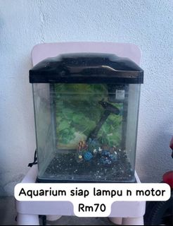 (Category: ) located in . Submitted by bellaahmaddd (Listing ID 1370478732, Image 1). Description: .