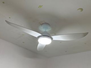 (Category: ) located in . Submitted by ShiramS (Listing ID 1370558525, Image 1). Description: .
