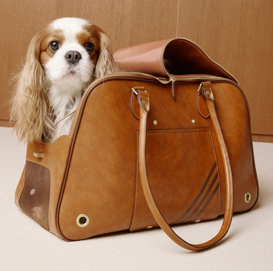 Exclusive Adidas Pet Carrier Shoulder Bag, Pet Supplies