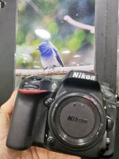 （分類：）位於 。 由 shamwo_114 提交（商品編號 1370495027，圖片 1）。簡介： 。