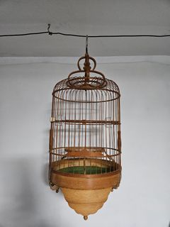 (Category: ) located in . Submitted by billy_richard (Listing ID 1370577625, Image 1). Description: .