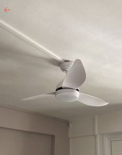 (Category: ) located in . Submitted by samuelkohl (Listing ID 1370750522, Image 1). Description: .