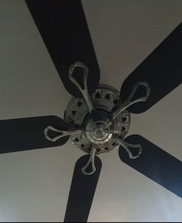 (Category: ) located in . Submitted by forsha (Listing ID 1370632622, Image 1). Description: .