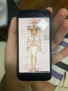 (Category: ) located in . Submitted by aabdullahfitri98 (Listing ID 1370724003, Image 1). Description: .