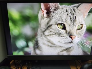 （分類：）位於 。 由 iuur7393 提交（商品編號 1272307473，圖片 1）。簡介： 。