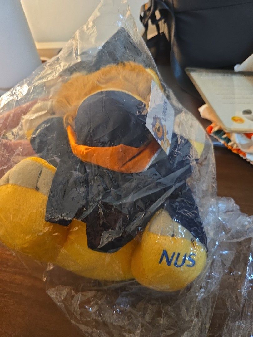 Linus Hobbies NUS LINUS GRADUATION BEAR WITH MASK, Hobbies & Toys, Toys & Games on ...