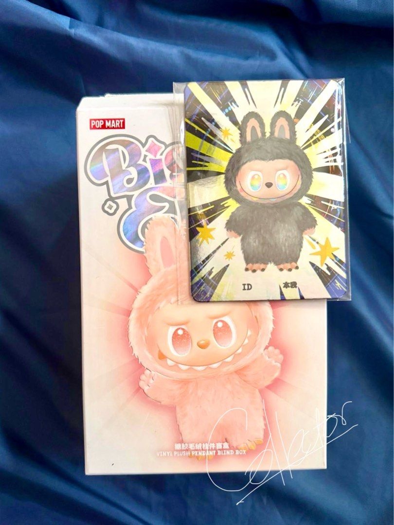 Pop Mart The Monsters Labubu 3.0 隱藏版本我ID 前方高能Big