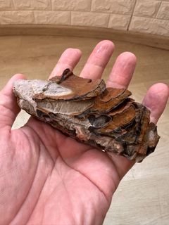 (Category: ) located in . Submitted by ornamental_rocks (Listing ID 1370622606, Image 1). Description: .