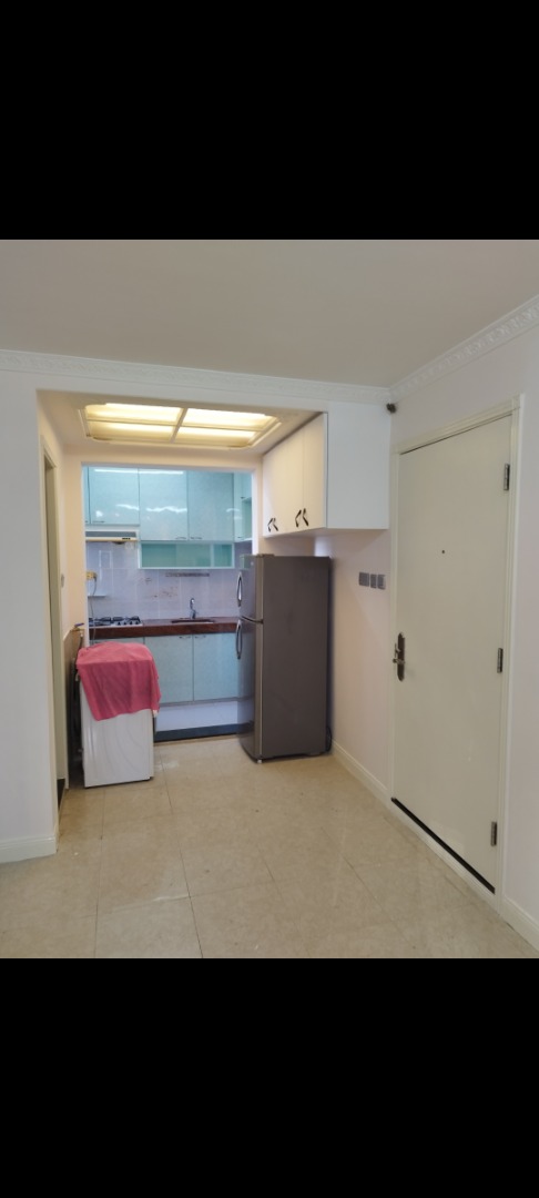 居屋出租比申请公屋三年家庭63438991562370110