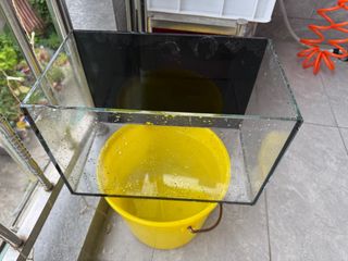 （分類：）位於 。 由 hakulamatata901 提交（商品編號 1370894770，圖片 1）。簡介： 。
