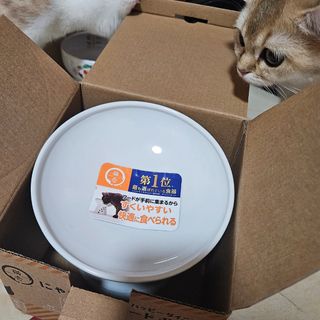（分類：）位於 。 由 rainbowcatart 提交（商品編號 1370829494，圖片 1）。簡介： 。