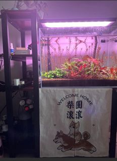 (Category: ) located in . Submitted by gina.djn (Listing ID 1370823353, Image 1). Description: .