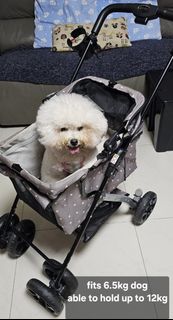 (Category: ) located in . Submitted by petsboutique (Listing ID 1370912432, Image 1). Description: .