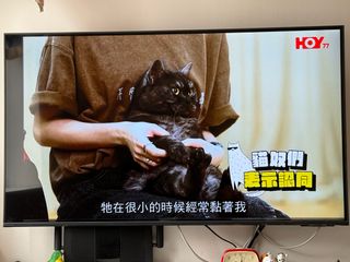 （分類：）位於 。 由 yaloo 提交（商品編號 1370805958，圖片 1）。簡介： 。