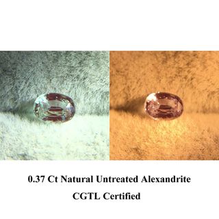 (Category: ) located in . Submitted by fareengems (Listing ID 1371040493, Image 1). Description: .