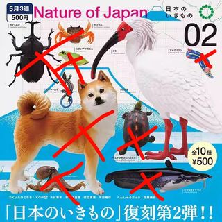 （分類：）位於 。 由 sky88 提交（商品編號 1371143443，圖片 1）。簡介： 。