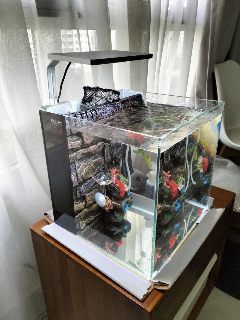Fish Tank Set (Category: Homes & Other Pet Accessories) located in Singapore. Submitted by amazingstar16 (Listing ID 1371023008, Image 2). Description: Brand New Fish Tank with inbuilt water filter. Light and extra water bubble accessoties fish food holder and fish rest . cash n carry at Tampines Central.