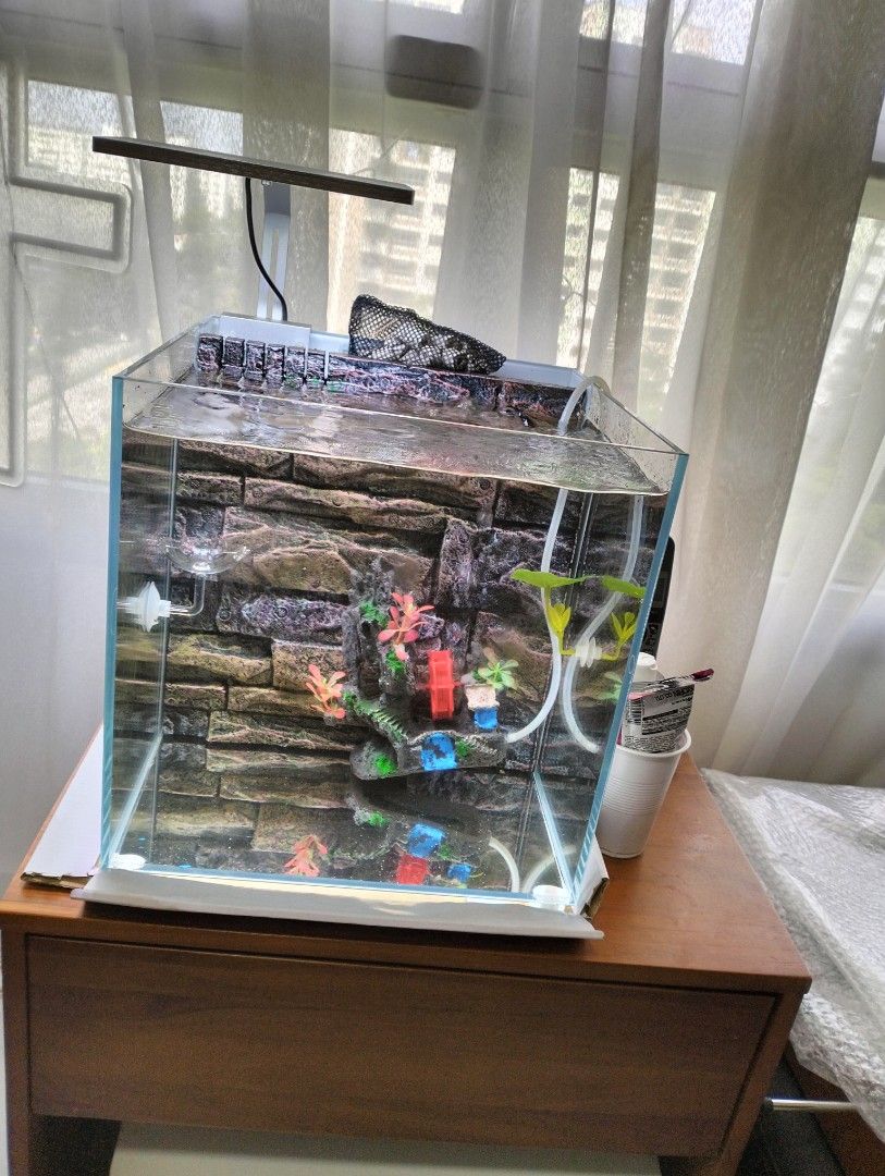 Fish Tank Set (Category: Homes & Other Pet Accessories) located in Singapore. Submitted by amazingstar16 (Listing ID 1371023008, Image 1). Description: Brand New Fish Tank with inbuilt water filter. Light and extra water bubble accessoties fish food holder and fish rest . cash n carry at Tampines Central.