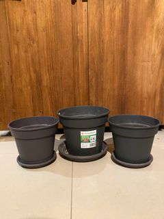 （分類：）位於 。 由 alannz 提交（商品編號 1371121145，圖片 1）。簡介： 。
