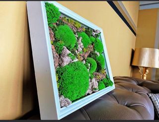 (Category: ) located in . Submitted by green_canopy_ideas (Listing ID 1371059379, Image 1). Description: .