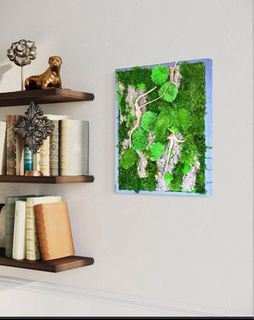 (Category: ) located in . Submitted by green_canopy_ideas (Listing ID 1371062289, Image 1). Description: .