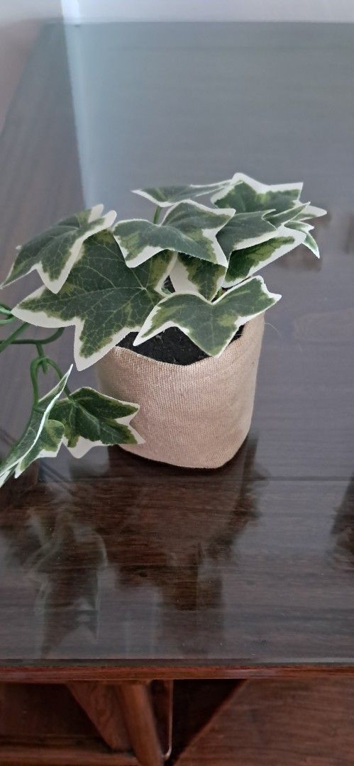 3 artificial plants65075494661506111