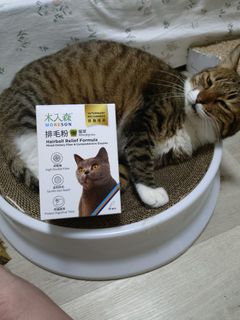由 090909ddd-05559 (刊登 ID 1371336114，圖片 1) 提交，位於 的 (類別：)，說明：。