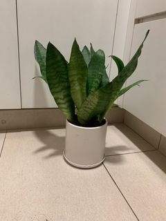 （分類：）位於 。 由 cherrie918 提交（商品編號 1371356639，圖片 1）。簡介： 。