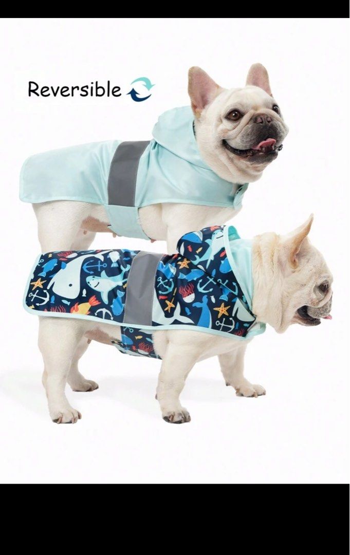 Dog raincoat (Category: Homes & Other Pet Accessories) located in Singapore. Submitted by v_clotilda (Listing ID 1371292285, Image 3). Description: Reversible Dog Raincoat. Too big for our dog (refer to 4th picture)! We bought the XL size but our dog would fit L better!.