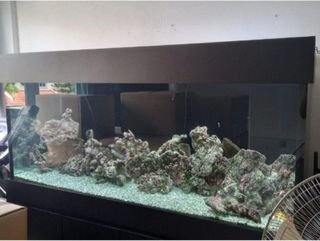 (Category: ) located in . Submitted by regal777 (Listing ID 1371230580, Image 1). Description: .