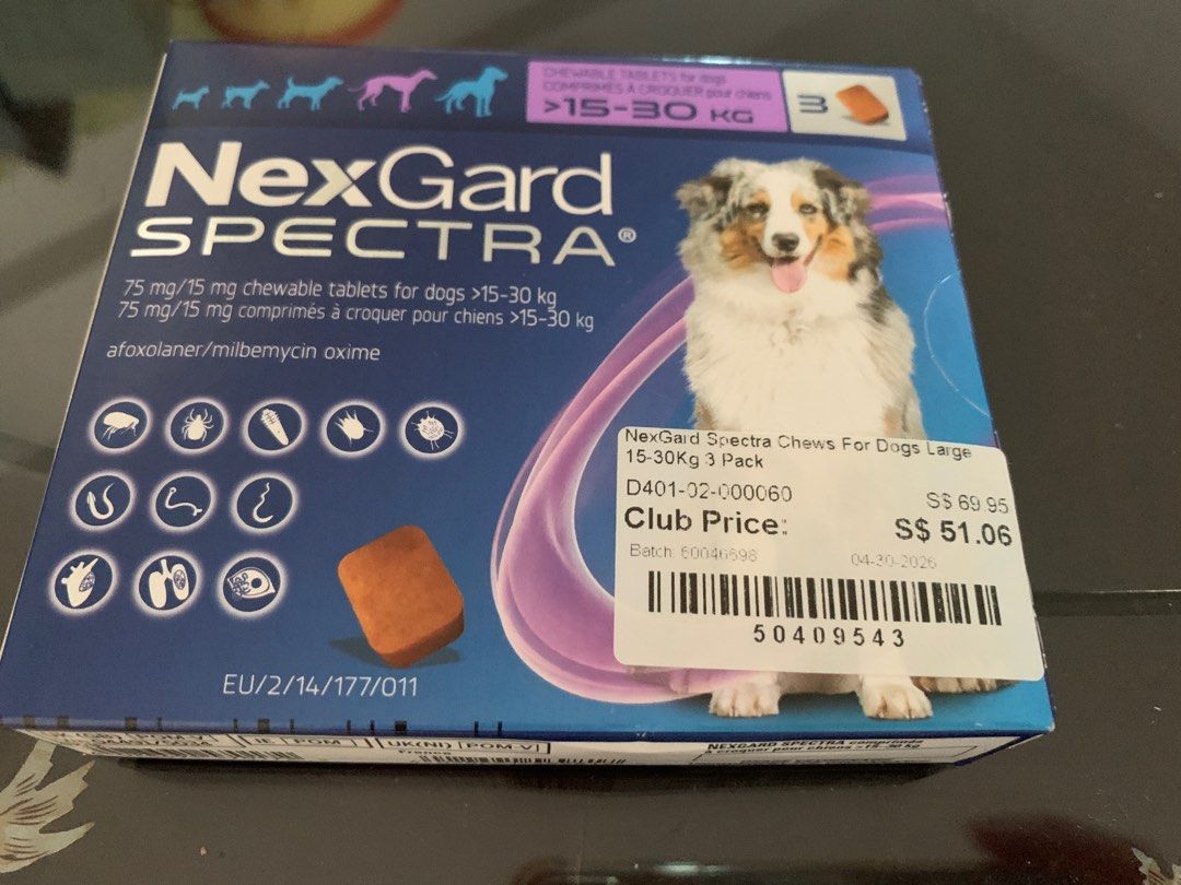 Nexguard spectra for dogs 10-20kg (Category: Health & Grooming) located in Singapore. Submitted by cookienoreo (Listing ID 1371309781, Image 1). Description: Expiry Feb 2026 Add $1 for postage Or self collect from 588195.