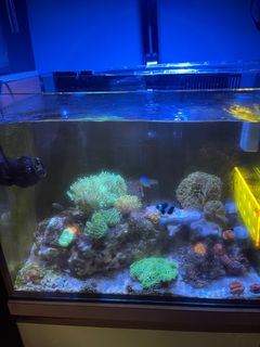 (Category: ) located in . Submitted by bryanyeo0908 (Listing ID 1371507721, Image 1). Description: .