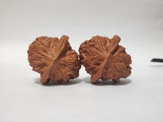 （分類：）位於 。 由 smallstore_ 提交（商品編號 1371481015，圖片 1）。簡介： 。